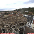 18_35-nest.jpg