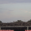 18_40-mast.jpg