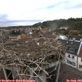 18_40-nest.jpg