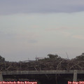 18_45-mast.jpg