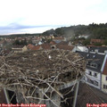 18_45-nest.jpg