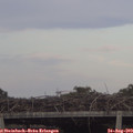 18_50-mast.jpg