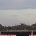 18_55-mast.jpg