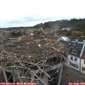 18_55-nest.jpg