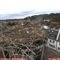 19_00-nest.jpg