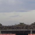 19_05-mast.jpg