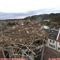 19_05-nest.jpg