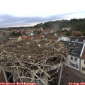 19_10-nest.jpg