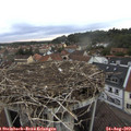 19_15-nest.jpg