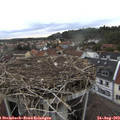 19_20-nest.jpg