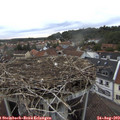 19_25-nest.jpg