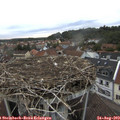 19_30-nest.jpg