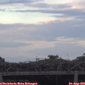 19_35-mast.jpg