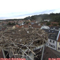 19_35-nest.jpg