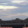 19_40-mast.jpg