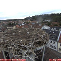 19_40-nest.jpg