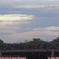 19_45-mast.jpg