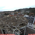 19_45-nest.jpg