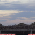 19_50-mast.jpg