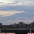 19_55-mast.jpg