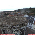 19_55-nest.jpg