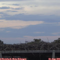 20_00-mast.jpg