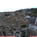 20_00-nest.jpg