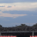 20_05-mast.jpg