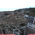 20_05-nest.jpg