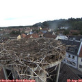 06_40-nest.jpg
