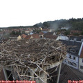 06_45-nest.jpg