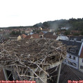 06_55-nest.jpg