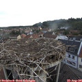 07_00-nest.jpg
