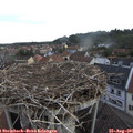 07_05-nest.jpg