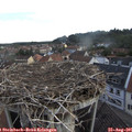 07_10-nest.jpg