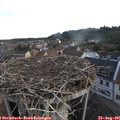 07_15-nest.jpg