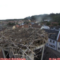 07_20-nest.jpg