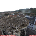 07_25-nest.jpg
