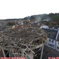 07_35-nest.jpg