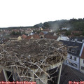 07_45-nest.jpg