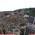 07_50-nest.jpg