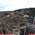08_00-nest.jpg
