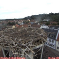 08_05-nest.jpg