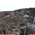 08_10-nest.jpg