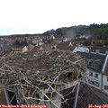 08_30-nest.jpg