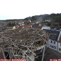 08_35-nest.jpg
