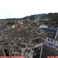 08_45-nest.jpg