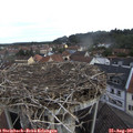 08_50-nest.jpg