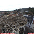 08_55-nest.jpg