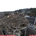 09_00-nest.jpg